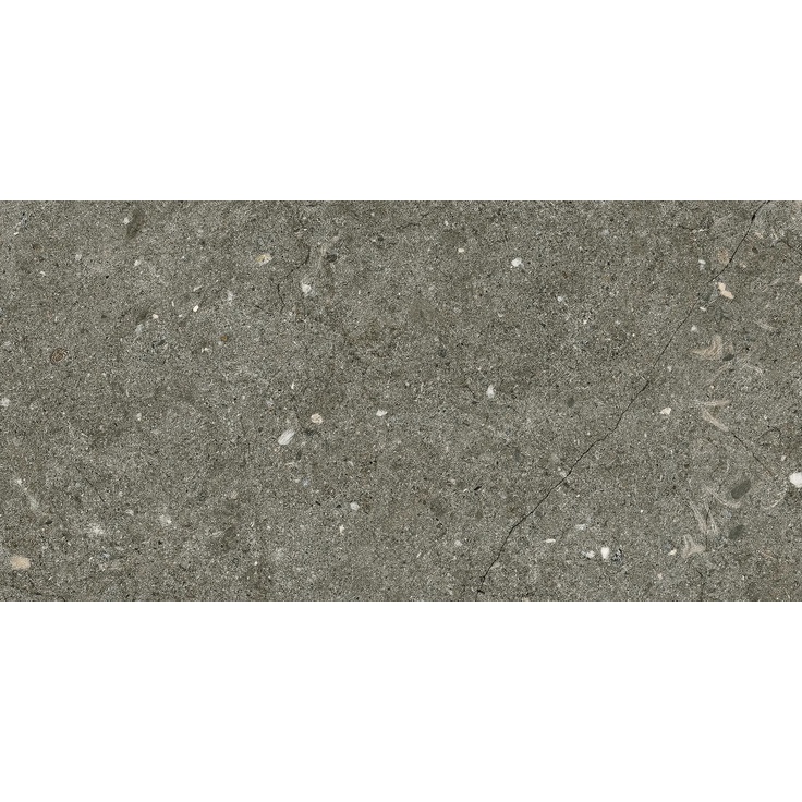 Alfalux Pietre Pure С000574760 7278641__PietrePureVicenzaRoc20X40 gres porcellanato 20x40 cm, Italia, altri tipi di pietra - foto 1 Alfalux Pietre Pure С000574760 7278641__PietrePureVicenzaRoc20X40 gres porcellanato 20x40 cm, Italia, altri tipi di pietra - foto 1