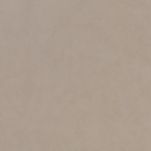 Alfalux Stucchi С000575265 8200250_StucchiTortoraRet60X60 porcelain tile 60x60 cm, Italy - photo 1 - photo 1