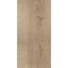Alfalux Wooder 8200999 CLOVE RET porcelanato 60x120 cm, Italia, árbol - foto 1 - foto 1