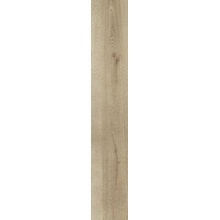 Alfalux Wooder 8200151 ASH RET porcelanato 20x120 cm, Italia, árbol - foto 1 - foto 1