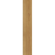 Alfalux Wooder 8200164 IROKO RET porcelanato 20x120 cm, Italia, árbol - foto 1 - foto 1