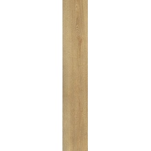 Alfalux Wooder 8200168 LIME RET porcelanato 20x120 cm, Italia, árbol - foto 1 - foto 1
