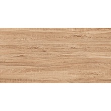 Aparici Camper С000399915 Camper Savanna Outdoor 2 CM_49,75*99,55 G-3234 Feinsteinzeug 49,75x99,55 cm, Spanien, holzoptik - Foto 1 - Foto 1
