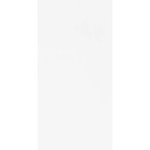 Aparici Rainbow С000471458 Rainbow Blanco Natural 50x100_G-3154 porcelanato 50x100 cm, España, monocolor - foto 1 - foto 1
