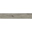 Ape Alabama С000400461 A032627_Alabama_antislip_cenere_rect_20x120 porcelain tile 20x120 cm, Spain, wood look - photo 1 Ape Alabama С000400461 A032627_Alabama_antislip_cenere_rect_20x120 porcelain tile 20x120 cm, Spain, wood look - photo 1