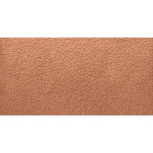 Ape Argillae С000504853 A037703_Nisus_coral_nat_rect gres porcellanato 60x120 cm, Spagna, sotto kotto - foto 1 - foto 1