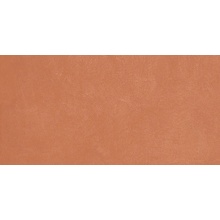 Ape Argillae С000504837 A037687_Coral_nat_rect gres porcellanato 30x60 cm, Spagna, sotto kotto - foto 1 - foto 1