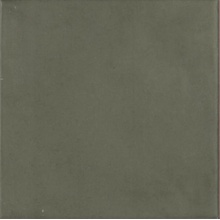 Ape Contemporary С000481792 A036714_Forest_matt_15x15 gres porcellanato 15x15 cm, Spagna - foto 1 - foto 1