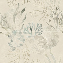 Ape Four Seasons A048345 Impronta Décor(Set 2) Gorgonia Sisustus 60x120 cm, Espanja - kuva 1 - kuva 1