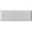 Ape Loft С000450166 A016090_Gris_10x30 wall tile 10x30 cm, Spain, monochrome - photo 1