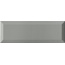 Ape Loft С000449634 A015966_Plata_10x30 wall tile 10x30 cm, Spain, monochrome - photo 1