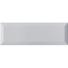 Ape Loft С000450166 A016090_Gris_10x30 Wandfliese 10x30 cm, Spanien, monochrom - Foto 1 - Foto 1