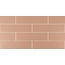 Ape Loop С000543304 A038737_SmoothTerracotta Настенная плитка 6,3x25 см, Испания, моноколор - фото 1