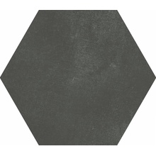Ape Macba С000481574 A037095_Obsidiana_23x26 posliinilaatta 23x26 cm, Espanja, betonin alla - kuva 1 - kuva 1