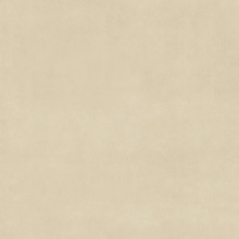 Ape Raw С000572704 A040037_toasted_smooth porcelænsflise 120x120 cm, Spanien, beton - foto 1 - foto 1