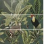 Ape Silk С000466911 A036261_DecorSet(3)_Abc/Toucan_Green_40x120 Decorazione 40x120 cm, Spagna - foto 1 Ape Silk С000466911 A036261_DecorSet(3)_Abc/Toucan_Green_40x120 Decorazione 40x120 cm, Spagna - foto 1