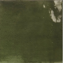 Ape Sorolla С000603191 A042228_green_gloss_13,2x13,2 kafel ścienny 13,2x13,2 cm, Hiszpania - zdjęcie 1 - zdjęcie 1