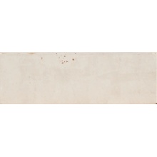 Ape Tennessee С000489738 A036863_Tennessee_white_5,2x16,1 piastrella da parete 5,2x16,1 cm, Spagna - foto 1 - foto 1
