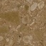 Arcana Black&Cream С000585395 Brown-R Wash 59.3x59.3 gres porcelánový 59,3x59,3 cm, Španělsko, ceppo di gre - fotografie 1