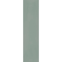 Arcana Flaming С000547903 Flaming Mint veggflis 8x31,5 cm, Spania - foto 1 - foto 1