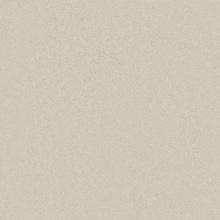 Arcana Mousse С000614589 Mousse-R Greige 80x80 keramisch graniet 80x80 cm, Spanje, beton - foto 1 - foto 1