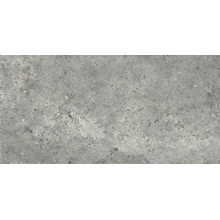 Ariana Anima 0006062 Grigio Nat Ret gres porcelanato 30x60 cm, Itália, efeito pedra  - foto 1 - foto 1