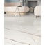 Ariana Epoque 21 60x120 см, porcelanato esmaltado, Italia, otros tipos de mármol - foto de interior 12