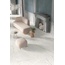 Ariana Epoque 21 60x120 см, porcelanato esmaltado, Italia, otros tipos de mármol - foto de interior 9