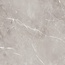 Ariana Epoque С000466445 PF60004313_EpoqueGreyLap60X60 porcelain tile 60x60 cm, Italy, other types of marble - photo 1 Ariana Epoque С000466445 PF60004313_EpoqueGreyLap60X60 porcelain tile 60x60 cm, Italy, other types of marble - photo 1
