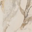 Ariana Epoque С000466438 PF60004306_EpoqueIvoryRet60X60 porcelain tile 60x60 cm, Italy, other types of marble - photo 1