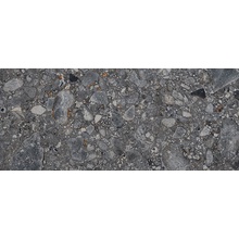 Ariana Futura 8314 Antracite Nat R porcelain tile 120x278 cm, Italy, terrazzo - photo 1 - photo 1