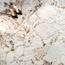 Ariana Nobile 60x120, porcelanato não esmaltado, Itália, outros tipos de mármore - foto de interior 15