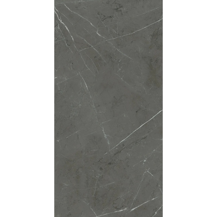 Ariana Nobile С000490769 PF60006322_NobileGreyGrafiteRet60X120 porcelain tile 60x120 cm, Italy, other types of marble - photo 1 Ariana Nobile С000490769 PF60006322_NobileGreyGrafiteRet60X120 porcelain tile 60x120 cm, Italy, other types of marble - photo 1