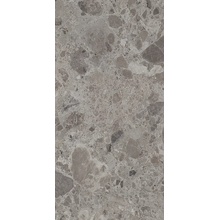 Armonie Atmosphere С000578209 0696036_30X60GrèGrey gres porcelanato 30x60 cm, Itália, ceppo di gre - foto 1 - foto 1