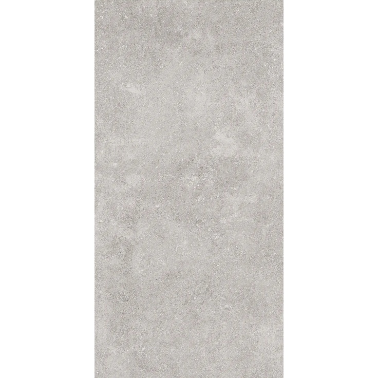 Armonie Atmosphere С000578181 0696008_60X120NaturalSilver porcelain tile 60x120 cm, Italy, other types of stone - photo 1 Armonie Atmosphere С000578181 0696008_60X120NaturalSilver porcelain tile 60x120 cm, Italy, other types of stone - photo 1