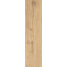Armonie I Legni С000578949 0698013_30X120NaturalBeige porcelænsflise 30x120 cm, Italien, træ - foto 1 - foto 1