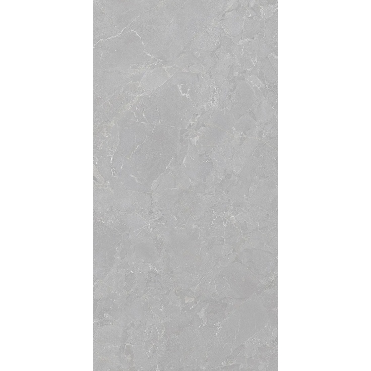 Ascot Ara Stone С000614956 02DAS12640R_AraStoneGreyRet60*120 gres porcelánový 60x120 cm, Itálie, další druhy kamene - fotografie 1 Ascot Ara Stone С000614956 02DAS12640R_AraStoneGreyRet60*120 gres porcelánový 60x120 cm, Itálie, další druhy kamene - fotografie 1