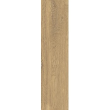 Ascot Deep Wood С000601421 02ADW3060_DeepWoodIroko29,6*119,2 gres porcelanato 29,6x119,2 cm, Itália, árvore - foto 1 - foto 1