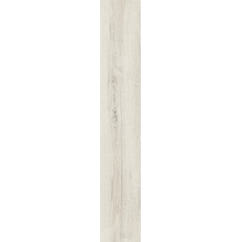 Ascot Natural С000438995 02NT12210S_NaturalBetulla keramisk granitt 20x120 cm, Italia, trelook - foto 1 - foto 1