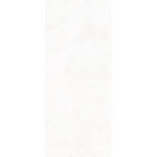 Ascot Slabs С000624802 A2SLA80006R_SlabsPigmentaWhite120*280 keramisch graniet 120x280 cm, Italië, beton - foto 1 - foto 1