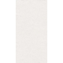 Ascot Washi С000615095 02WA12610R_WashiChalkRet60*120 keramisch graniet 60x120 cm, Italië, beton - foto 1 - foto 1