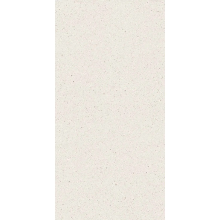 Ascot Washi С000615096 02WA12620R_WashiPaperRet60*120 gres porcellanato 60x120 cm, Italia, calcestruzzo - foto 1 Ascot Washi С000615096 02WA12620R_WashiPaperRet60*120 gres porcellanato 60x120 cm, Italia, calcestruzzo - foto 1