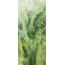 Atlas Concorde Boost Pro A3HE Leaves A Decoratie 120x278 cm - foto 1 Atlas Concorde Boost Pro A3HE Leaves A Decoratie 120x278 cm - foto 1