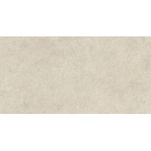Atlas Concorde Boost Vision HCKX Field Camel wall tile 40x80 cm, Italy, concrete look - photo 1 - photo 1