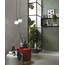 Atlas Concorde Italy Boost 40x80, unglazed porcelain stoneware, Italy, concrete - interior photo 14
