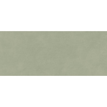 Atlas Concorde Italy Boost Expression AYR7 Olive Matt Ret gres porcelanato 50x120 cm, Itália, efeito betao  - foto 1 - foto 1