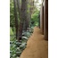 Atlas Concorde Italy Entice 20x120, glazed porcelain stoneware, Italy, wood look - interior photo 2