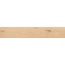 Atlas Concorde Italy Log Cansei С000610881 AX7K_Log Cansei Rialto 20x120 Grip porcelain tile 20x120 cm, Italy, wood look - photo 1