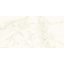 Atlas Concorde Italy Marvel Shine A4QW Calacatta Delicato Matt porcelain tile 60x120 cm, Italy, marble look - photo 1 - photo 1
