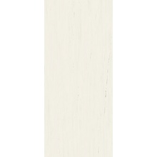 Atlas Concorde Italy Marvel Stone С000619644 A0BP_Marvel Bianco Dolomite 120x278 Lapp porcelain tile 120x278 cm, Italy, other types of marble - photo 1 - photo 1